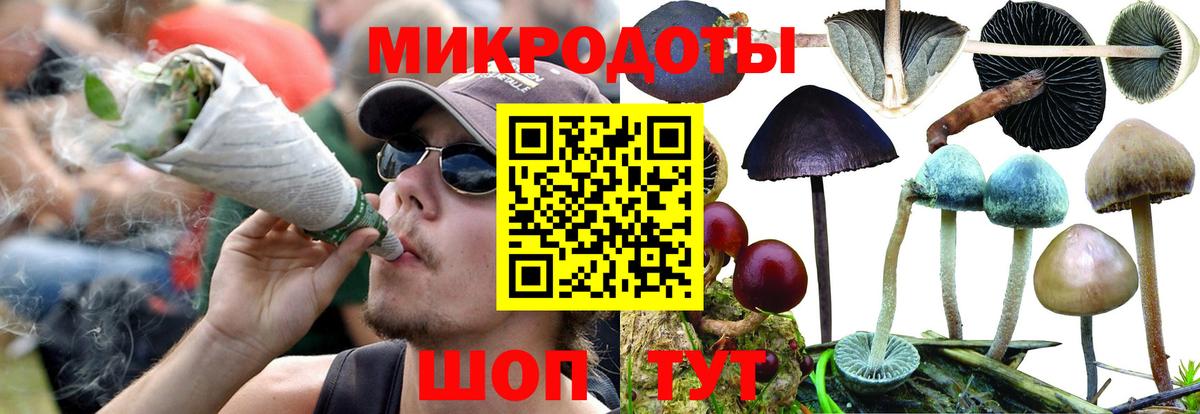 Псилоцибиновые грибы прущие грибы Хасавюрт