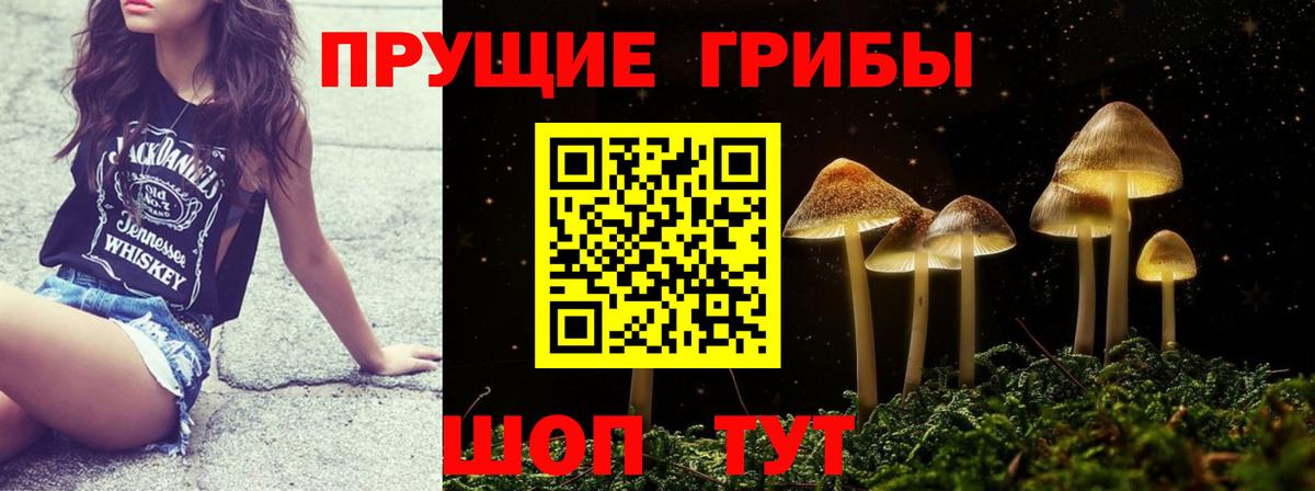 Хасавюрт  где можно купить   Вход с VPN  Галлюциногенные грибы Magic Shrooms 