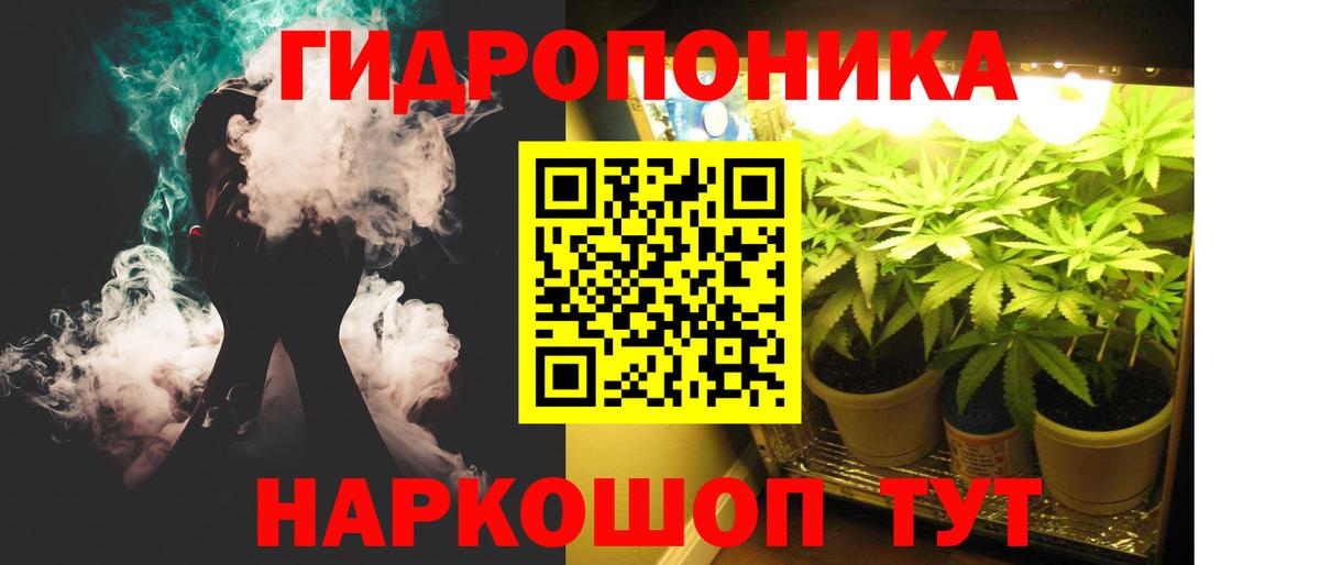 Канабис семена Хасавюрт